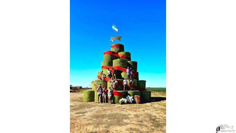 Hermosa imagen del campo argentino, un árbol de navidad hecho con rollos de alfalfa.
