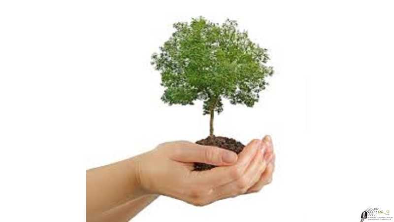 Con 90 plantaciones en el polideportivo, Alma Juniors se sumó al programa  municipal “Un Niño, Un Árbol”