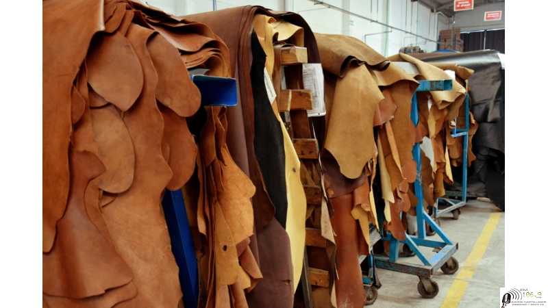 Planteo de los empleados curtidores de cuero en Esperanza, Se levantó el paro por Conciliación obligatoria