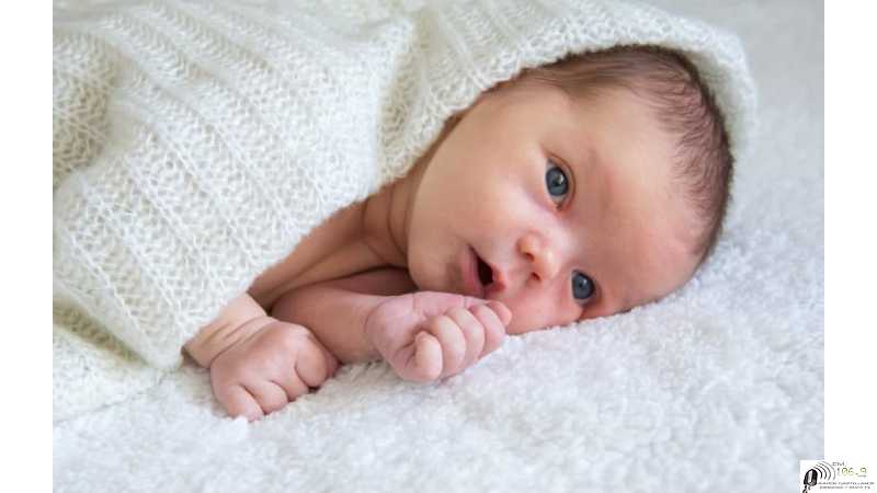 2025 - 32.084 nacimientos en toda la provincia. Cuales fueron los nombres más elegidos