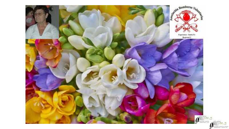 Adelina Bonati un nuevo año realizó la venta de las flores a beneficios de Bomberos Voluntarios de Esperanza