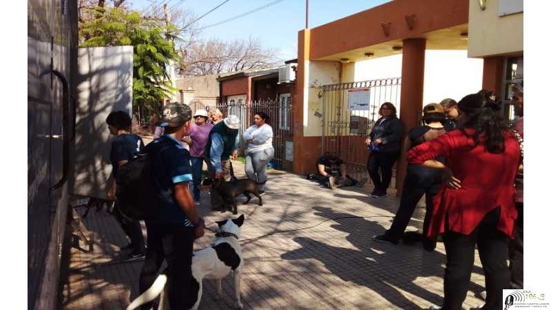 El Gobierno de la Ciudad, concretó otra exitosa jornada de castraciones.