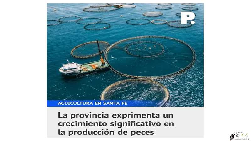 Santa Fe está experimentando un auge en la acuicultura