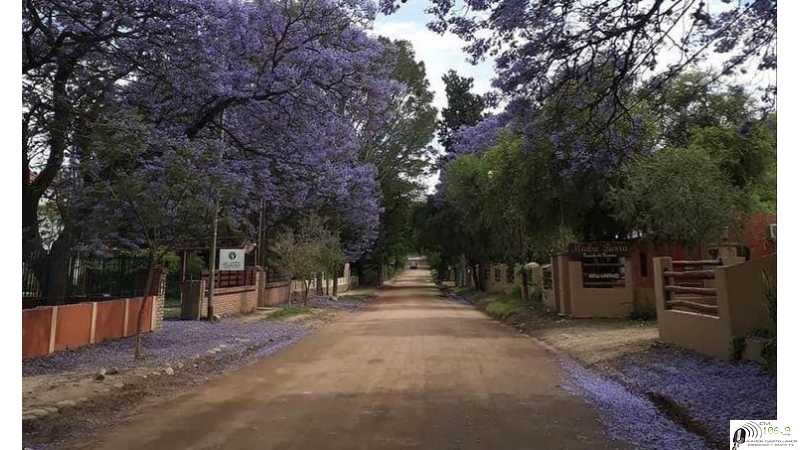 San Marcos Sierras, a 138 km de Córdoba, tiene una ordenanza que prohíbe que sus calles sean asfaltadas