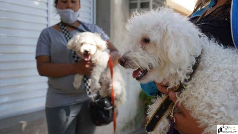 El Gobierno de la Ciudad confirma nuevas fechas para Castraciones en Barrios