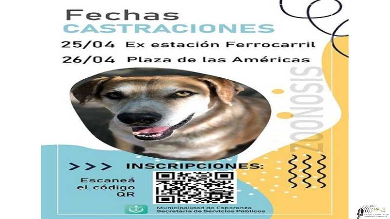 24 y 25 Abril Castraciones en Esperanza de perros seamos responsables