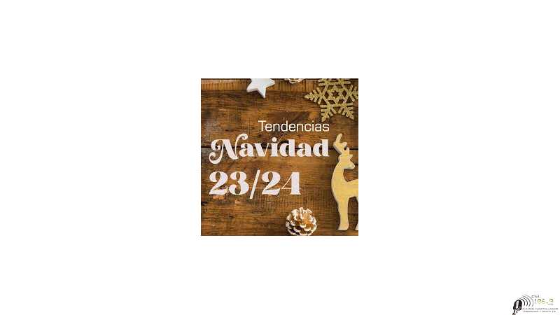 Resultados de los operativos de control y limpieza durante la madrugada de Navidad