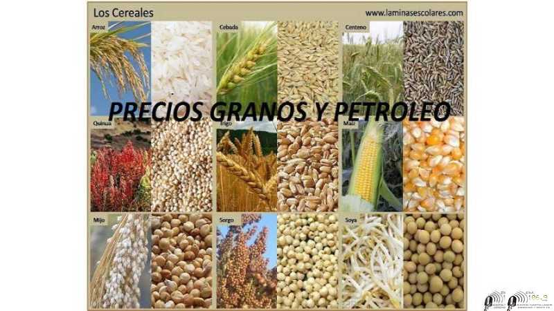 Cierres 08-08-25 Cotizaciones de Granos -Dólar-Petróleo en Rosario