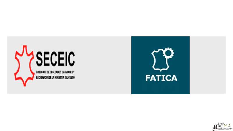 El S.E.C.E.I.C. conjuntamente con la F.A.T.I.C.A. anuncian Destruir la cadena de valor de cuero no es bueno