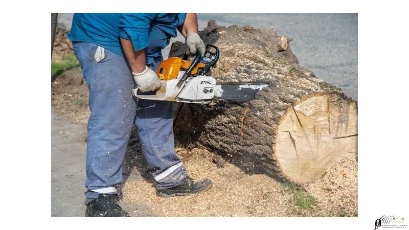 Servicios municipales y tareas previstas para esta semana en la ciudad de Esperanza