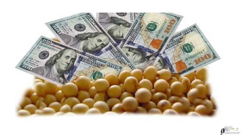 Cotizaciones en Rosario Granos- Dolar - Petróleo Cierres 29-08-25