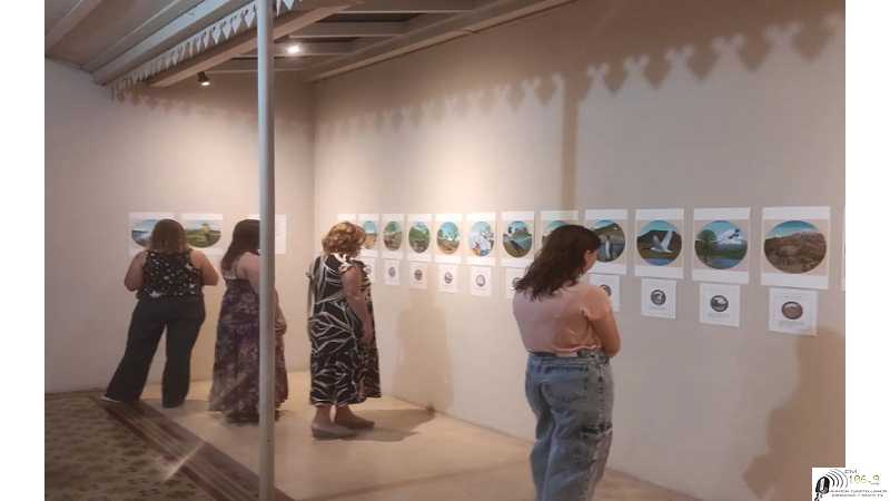 RD Fundación Muestra 