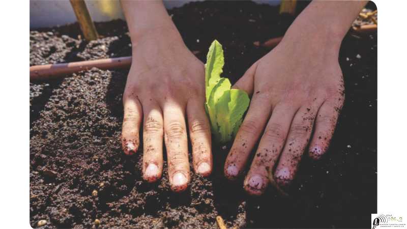 Inscripción para la 23º edición del Concurso de Huertas Familiares de Esperanza.
