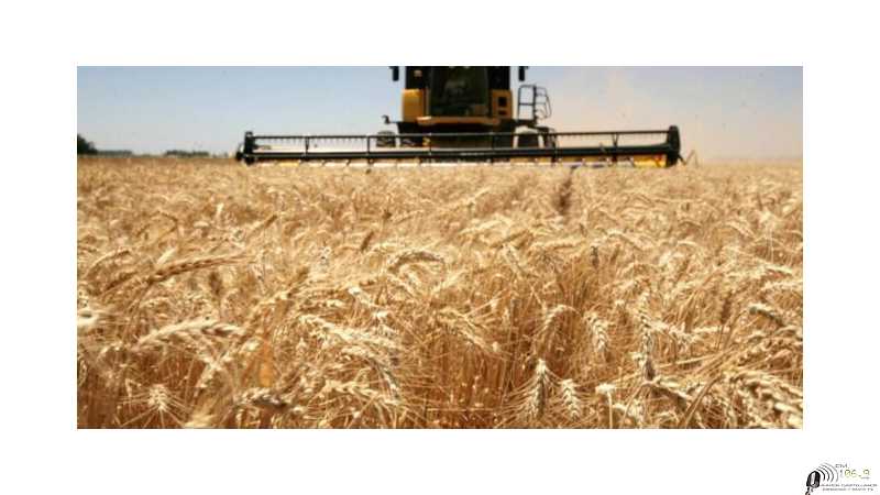 Ver cotizaciones Granos - Dolar - Petróleo en Rosario 14 -11-2025