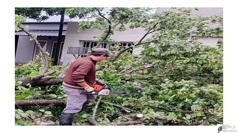 Municipales debieron trabajar post tormenta caidas de ramas (ver mas fotos)