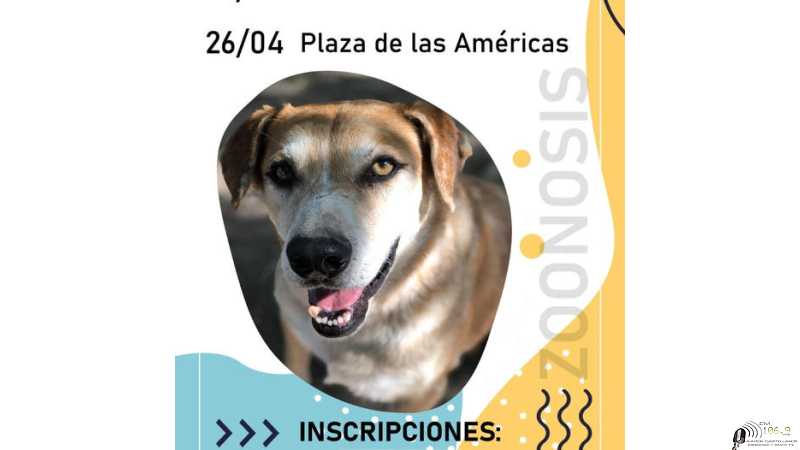 Miercoles 26 Abril Castraciones de perros 25/04/23 - Ex Estación Ferrocarril 26/04/23 - Plaza de las Américas (frente a iglesia Virgen de Guadalupe)