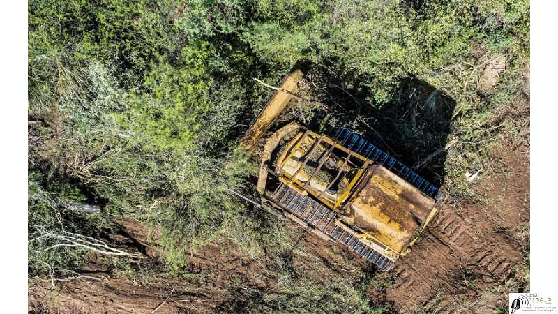 Alerta por la deforestación en el Gran Chaco, el segundo pulmón verde de Sudamérica. Cómo es la situación en Argentina