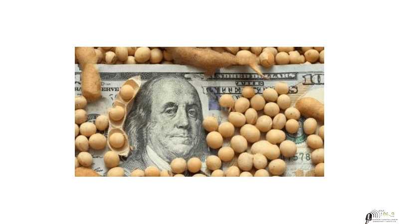 Cotización Cereales -Dólar en Rosario 21 Agosto 2026