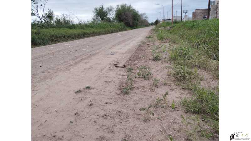 Rodrigo Müller solicitó que se implemente el Plan de Pavimento aprobado