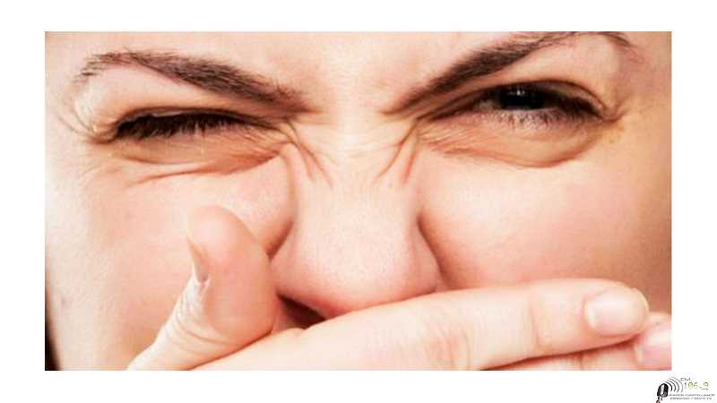 La Municipalidad aseguró que la empresa que emane malos olores, tendrá sanción