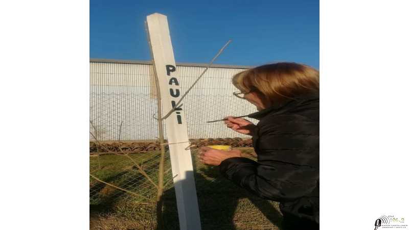El Gobierno de la Ciudad y vecinos, en equipo, evolucionan “Un niño, un árbol”