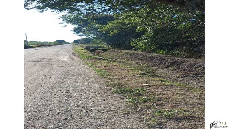 La municipalidad lleva adelante un programa de mantenimiento preventivo del sistema pluvial en la ciudad