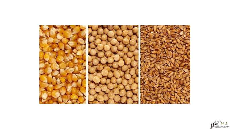 Mercado de granos valores y cotizaciones del fin de semana  19/ 8 /2022