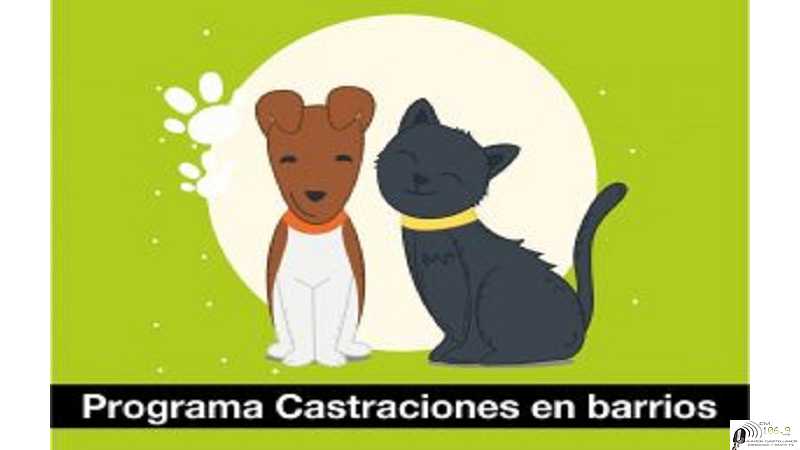 Las jornadas de castración serán el martes 15 y miércoles 16 de noviembre. ver aqui donde