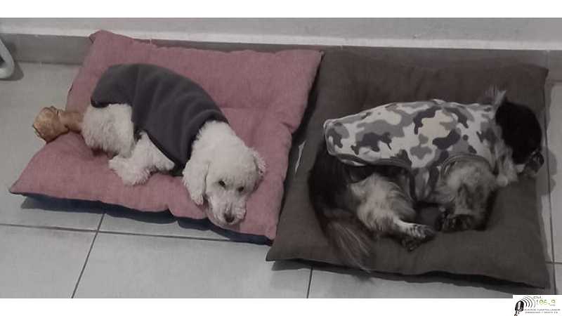 Taller de Costura Diamante de Caritas Barrio Sur, realizaron varias cuchas ( ver 19 fotos)