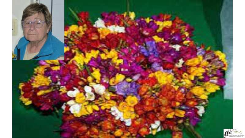 “Asociación Bomberos Voluntarios de Esperanza”,  agradece a la Socia Honoraria ADELINA BONATTI, la donación de $ 202.500 producto de la venta de ramos de Fresia. – 