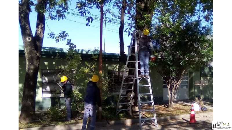 Trabajo intenso en la poda que se realiza en distintos barrios de Esperanza