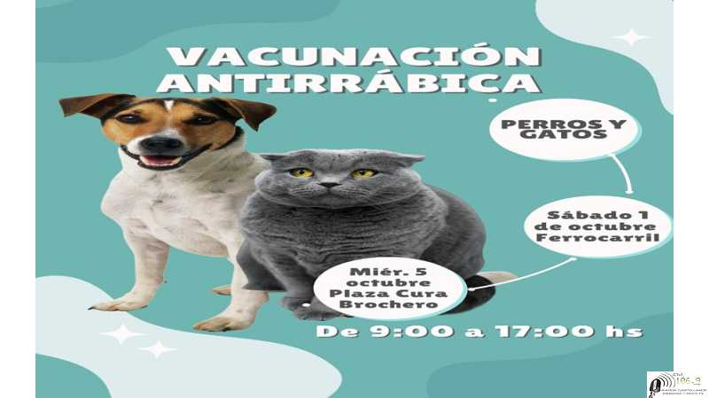 Recuerden este miercoles 5 octubre vacunación antirrábica barrio Oeste