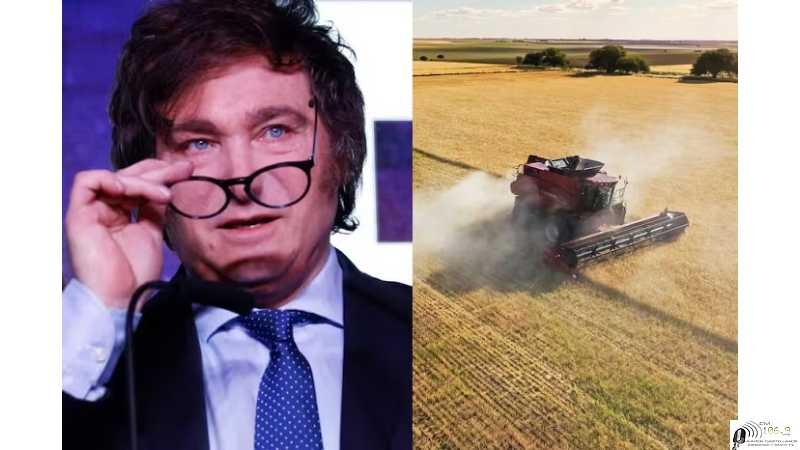 Presupuesto 2025: Aqui opiniones de varios economistas Importante nota