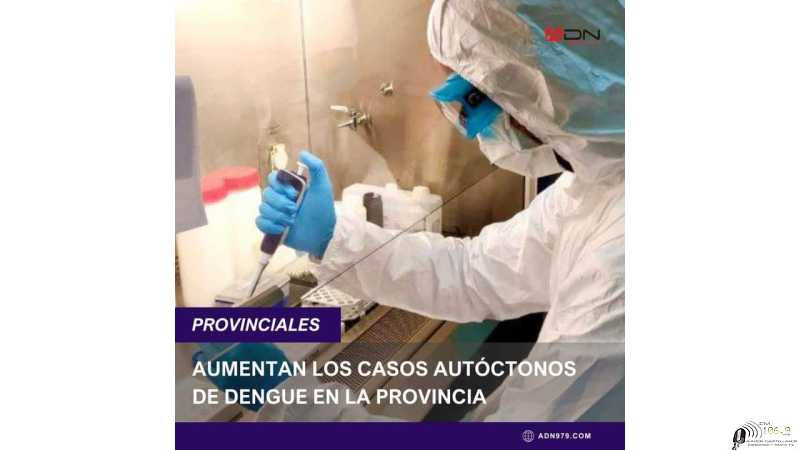 El Ministerio de Salud de la Provincia de Santa Fe brinda un nuevo informe respecto de las enfermedades transmitidas por mosquitos: