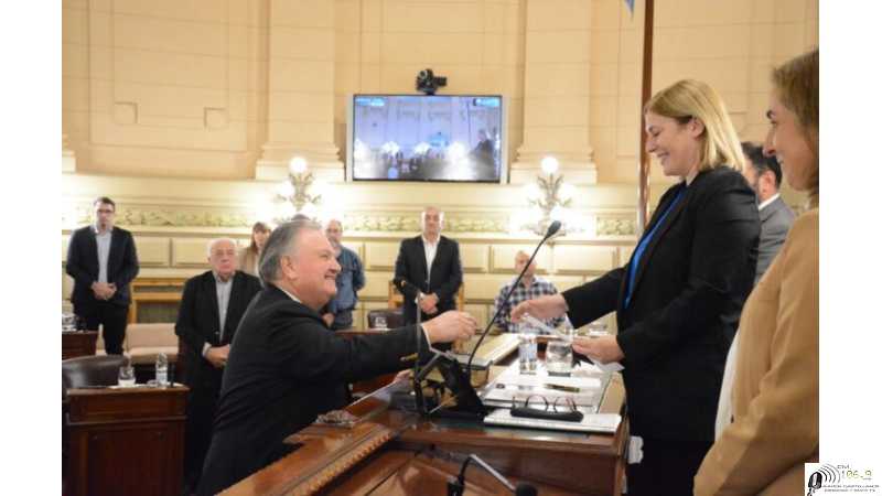Felipe Michlig fue elegido como presidente provisional del senado