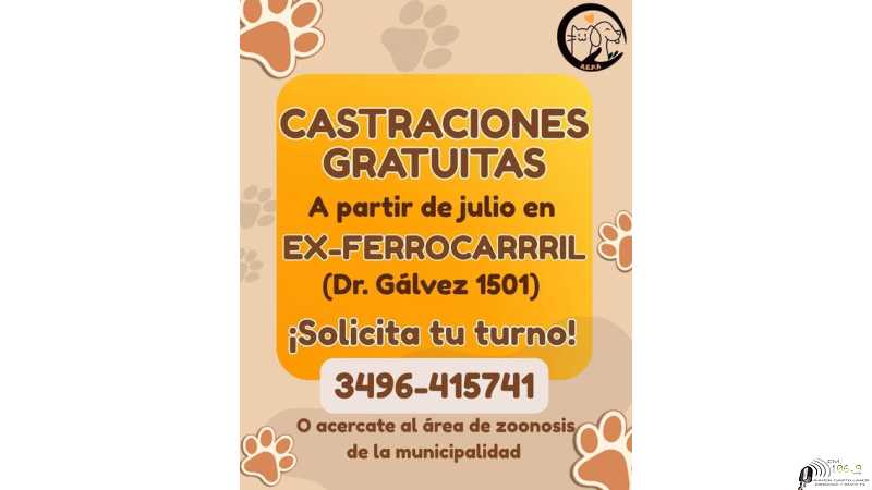 Castraciones para animales gratuitos en Estación Ferrocarril