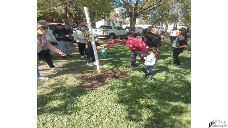 Se generó en vivero municipal 2500 árboles este año, con 5 especies diferentes.