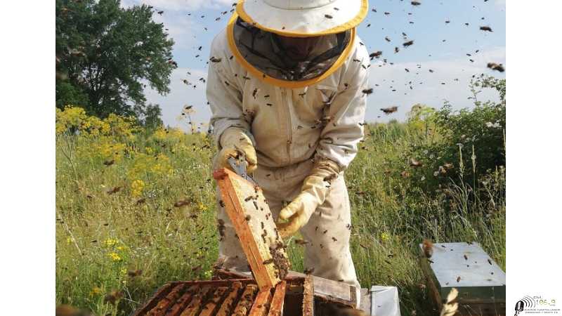Más de 50 productores dijeron presente en la Jornada Apícola del INTA Rafaela VER VIDEOS