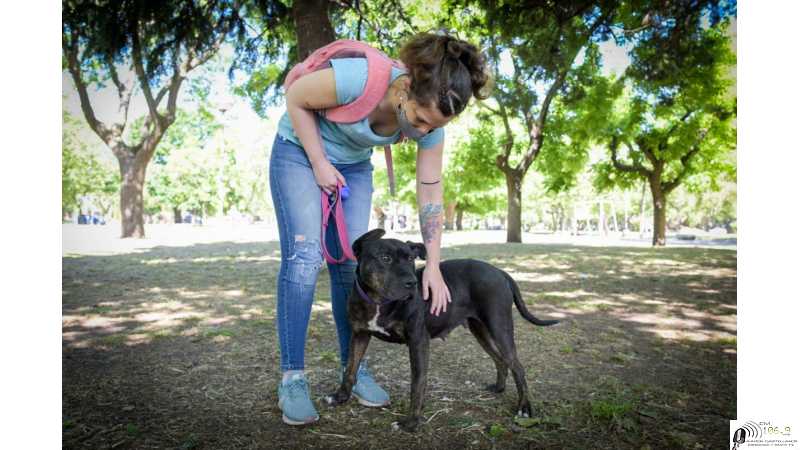 Domingo te esperan Aepa y Zoonosis (Ver video invitación)