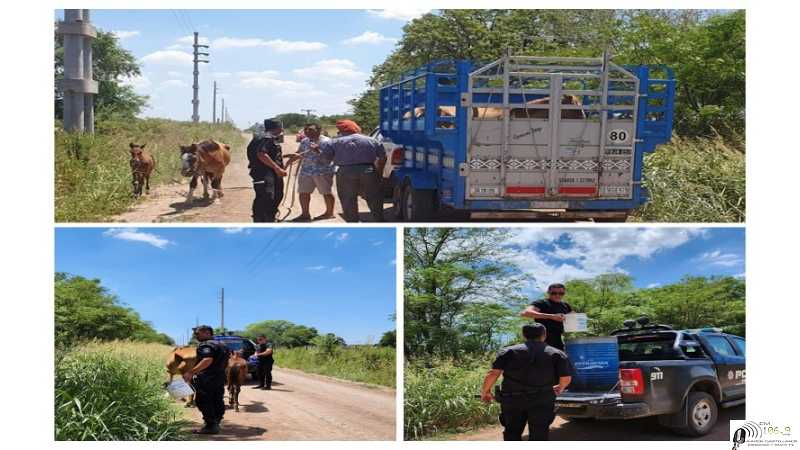 Policiales Dto Las Colonias 1° de Febrero 2023